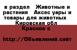  в раздел : Животные и растения » Аксесcуары и товары для животных . Кировская обл.,Красное с.